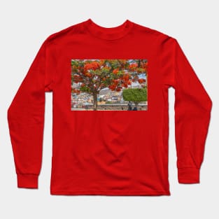 Mexico. Guanajuato. Flaming Tree. Long Sleeve T-Shirt